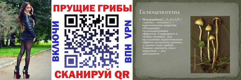 даркнет клад  Нальчик  Псилоцибиновые грибы Cubensis  цены наркотик 